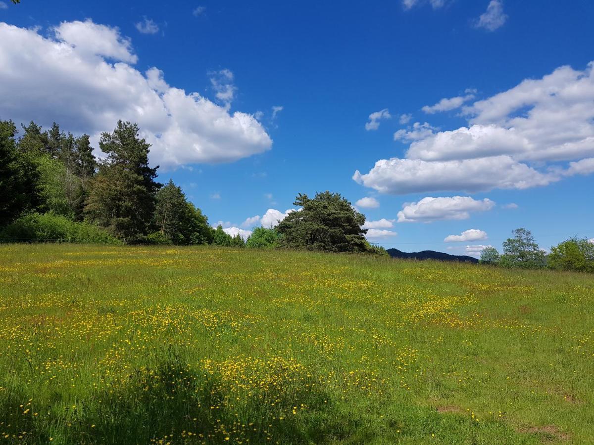Hoellenbergblick Spirkelbach Bagian luar foto