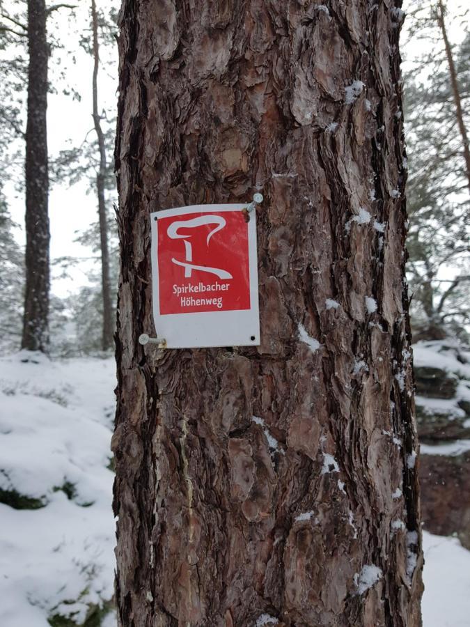 Hoellenbergblick Spirkelbach Bagian luar foto
