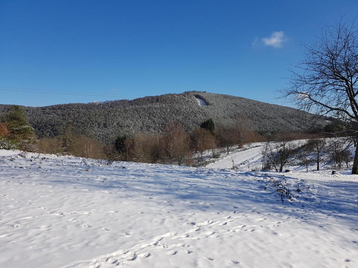 Hoellenbergblick Spirkelbach Bagian luar foto